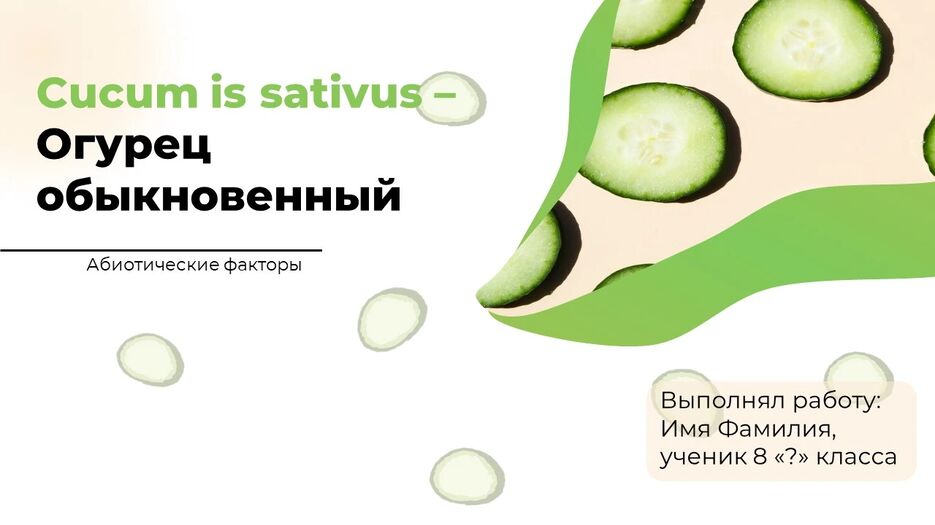изображение_2024-06-26_193837760.png