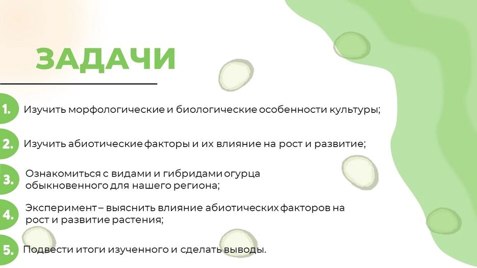 изображение_2024-06-26_193844854.png