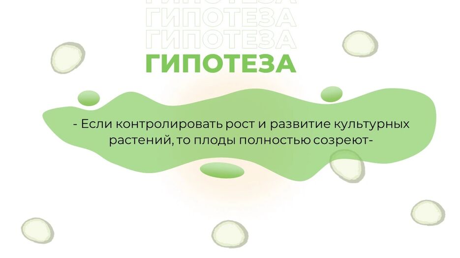 изображение_2024-06-26_193848605.png