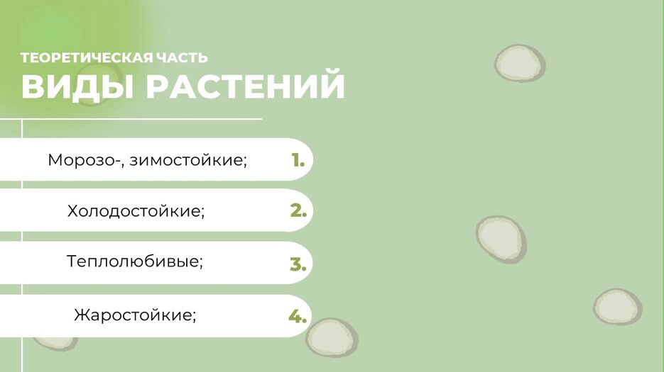изображение_2024-06-26_193855712.png