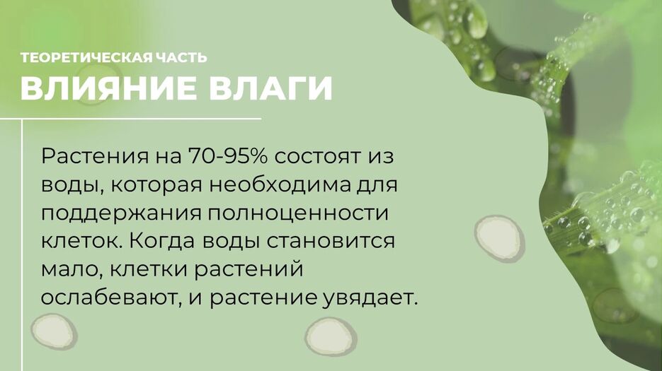 изображение_2024-06-26_193859761.png