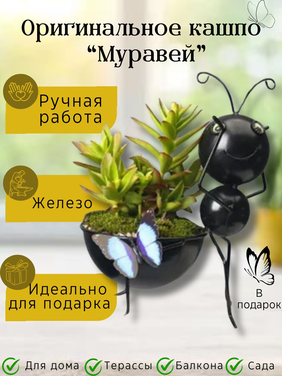О.png