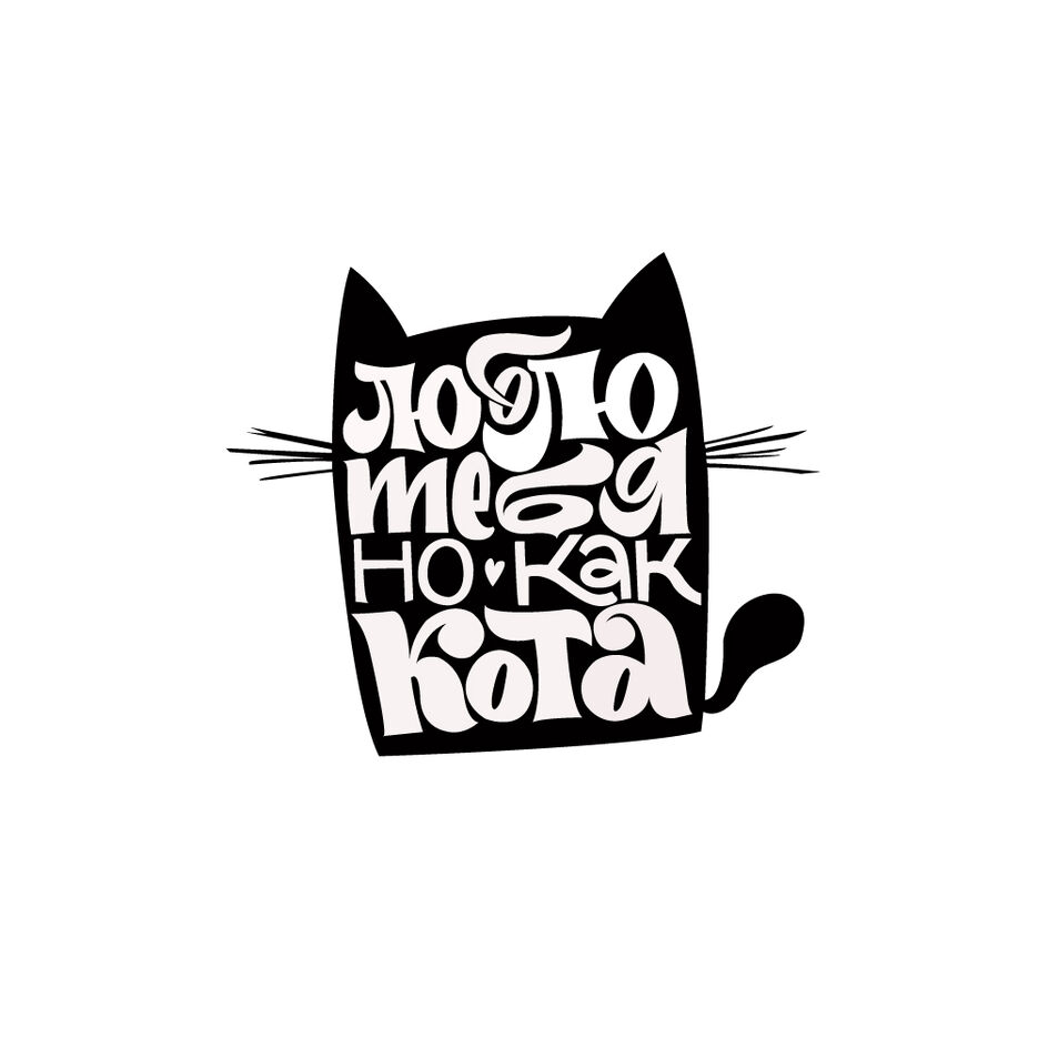 Котик.jpg