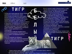Дизайн с информацией о тиграх
