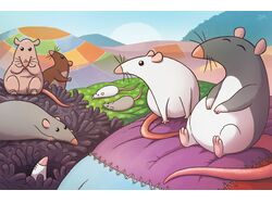 Rats