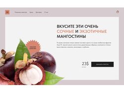 И-магазин мангостинов