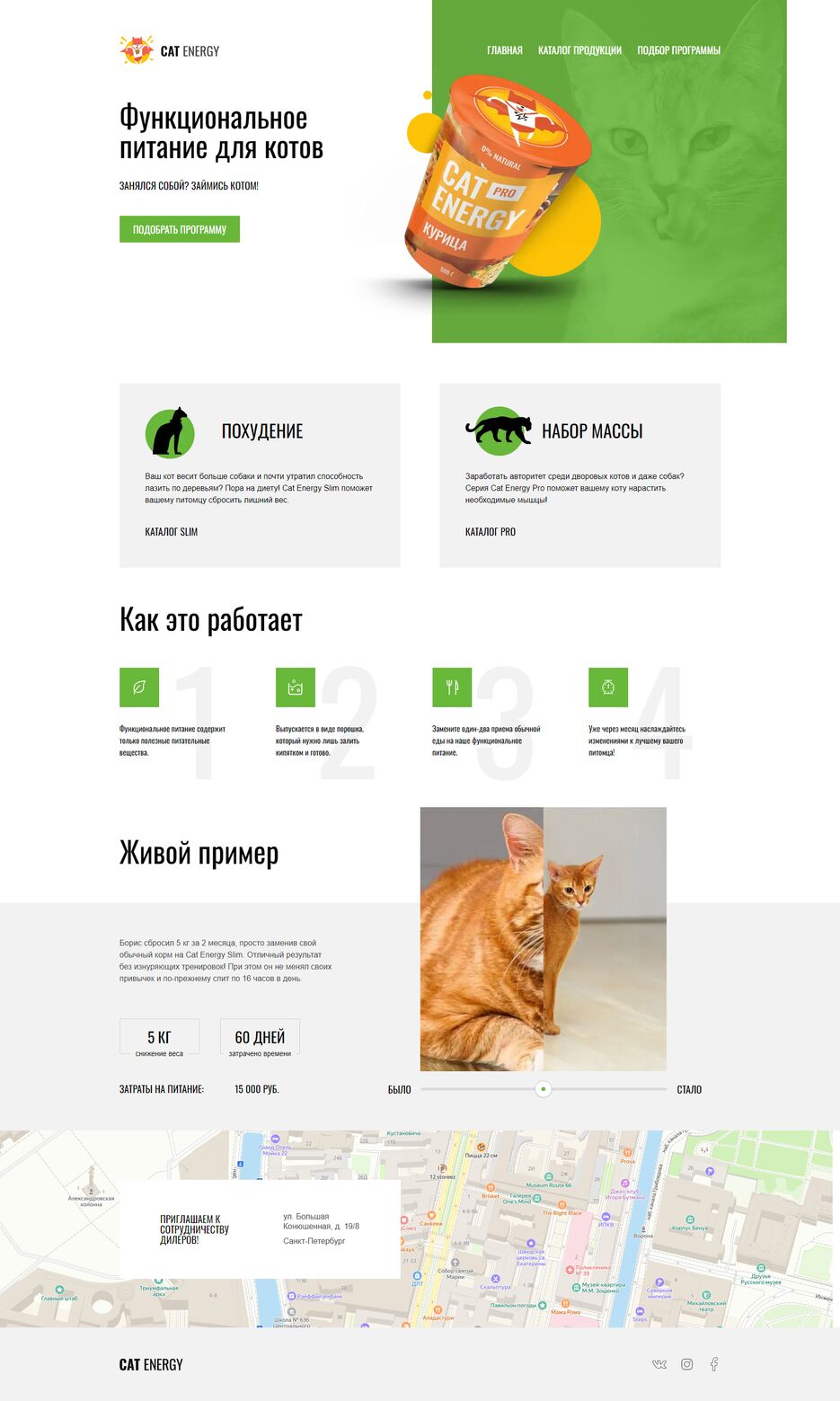 CatEnergy.png