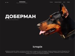 Дизайн сайту - Доберман