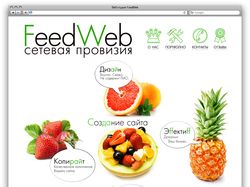 Веб-студия FeedWeb