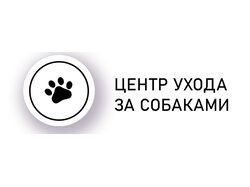 Дизайн сайта центра ухода за собаками