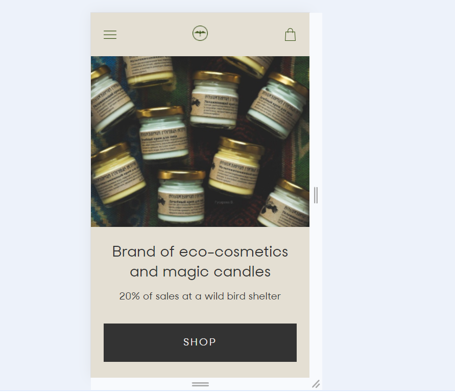 ecocosmetics7.png