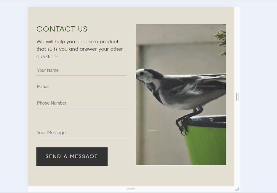 ecocosmetics14.png