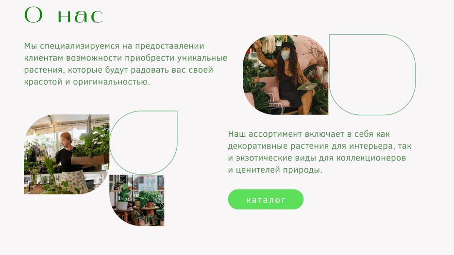 растения 2.png