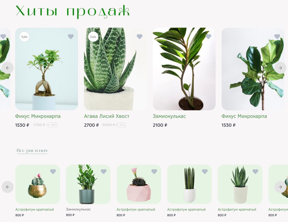 растения3.png