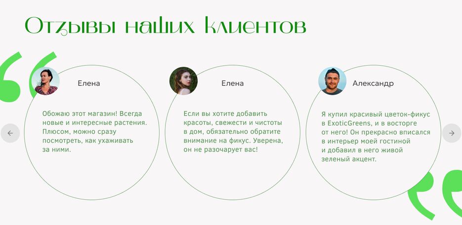 растения 4.png