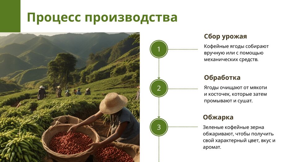 зеленый кофе (1)-4.png