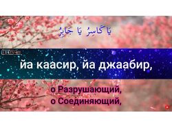 Транскрипция аудио