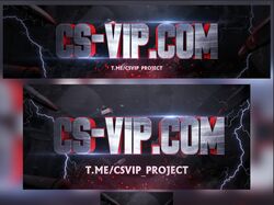 Для проекта CS-VIP
