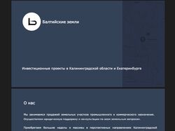 Презентация "Инвестиционные проекты" для компании Балтийские земли. 