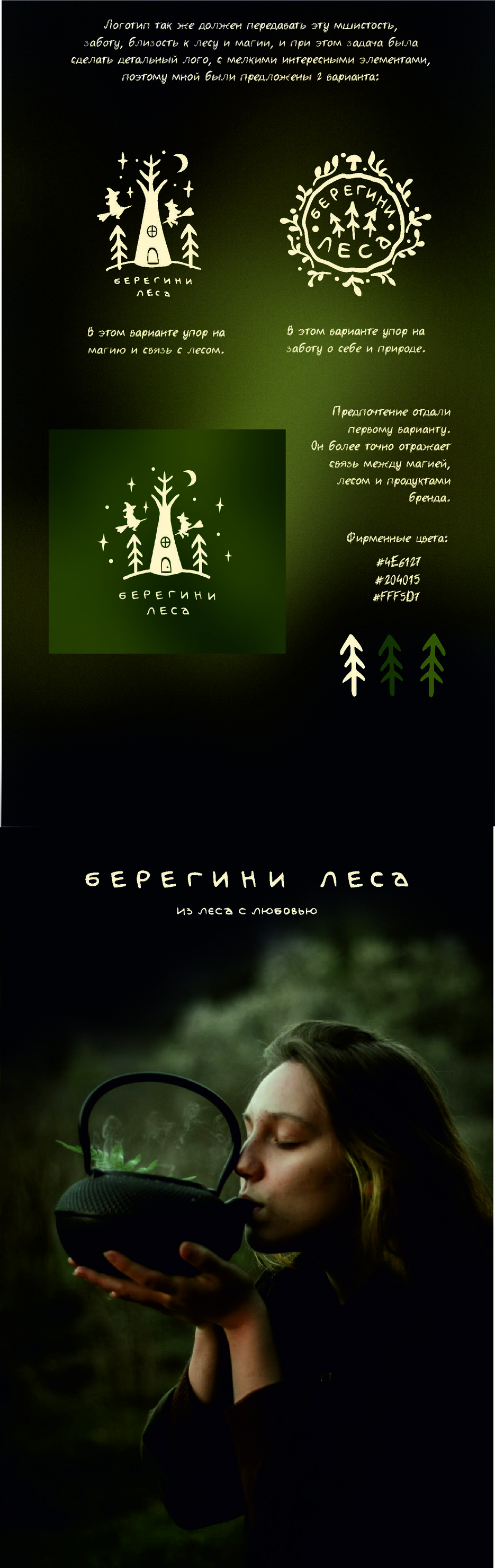 берегини проект 3 .jpg