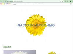 Мой личный сайт по рассаде цветов (хризантема, альстромерия)