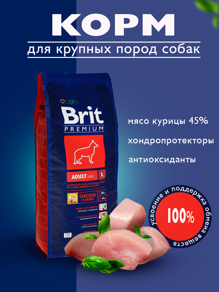 корм.png