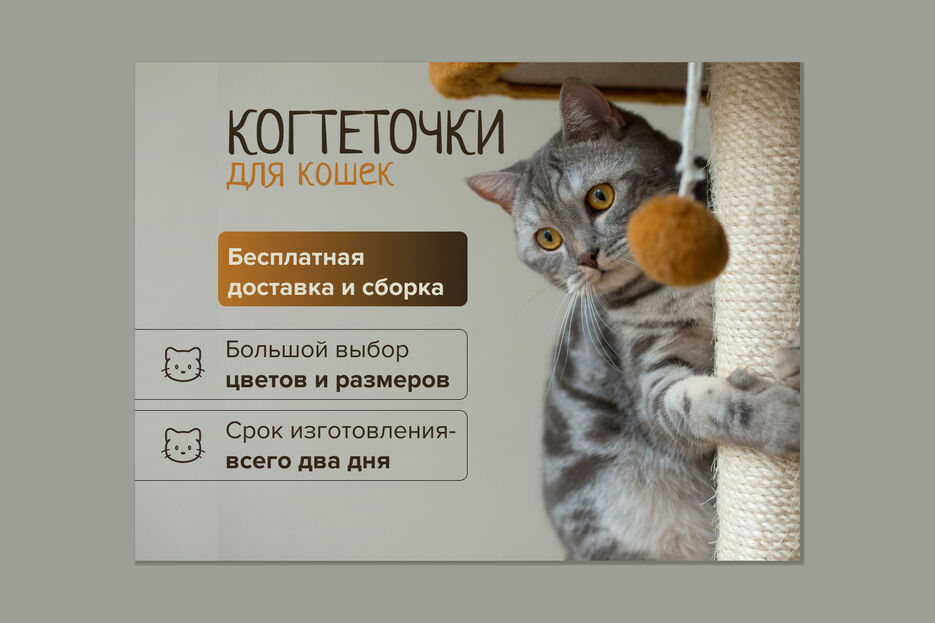 когтеточка.jpg
