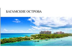 Презентация 1