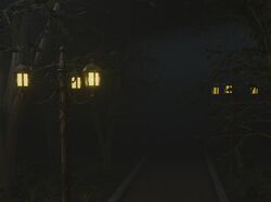Нічний парк