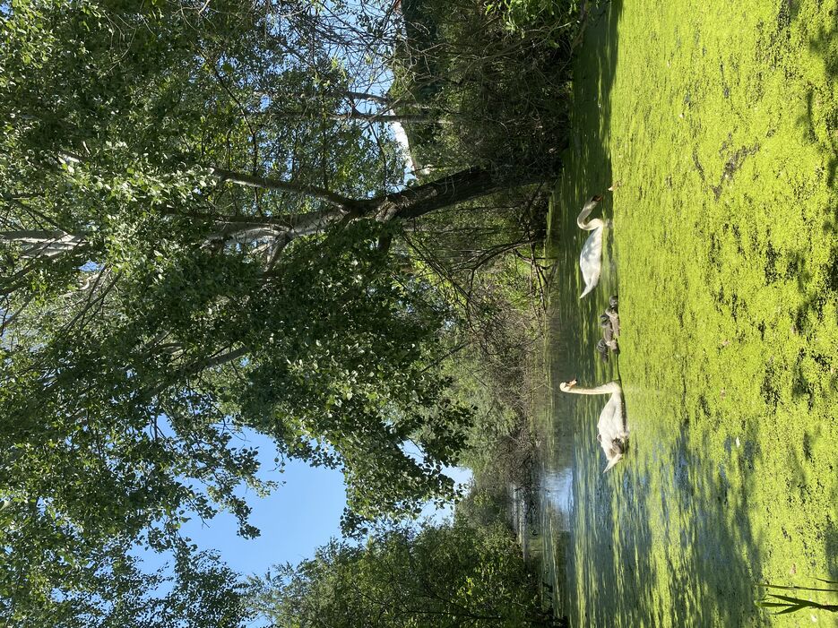 IMG_6298.jpeg