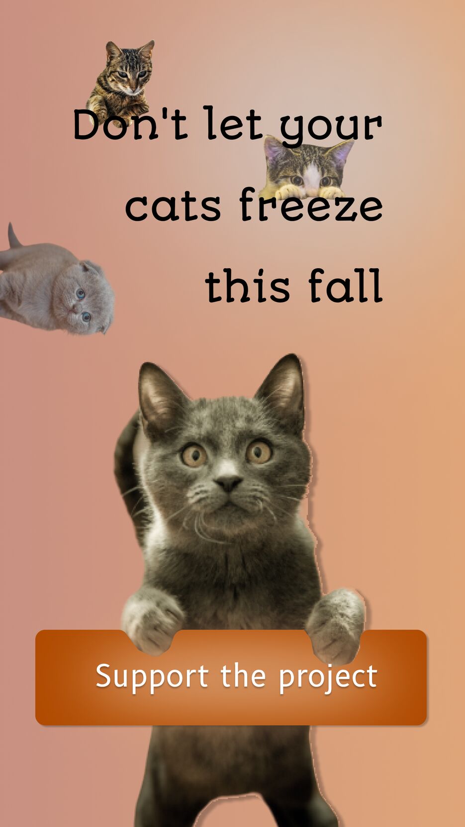 Cats storie.png