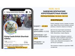 ЗАВОДЧИК БРИТАНСКИХ КОРОТКОШЕРСТНЫХ КОШЕК