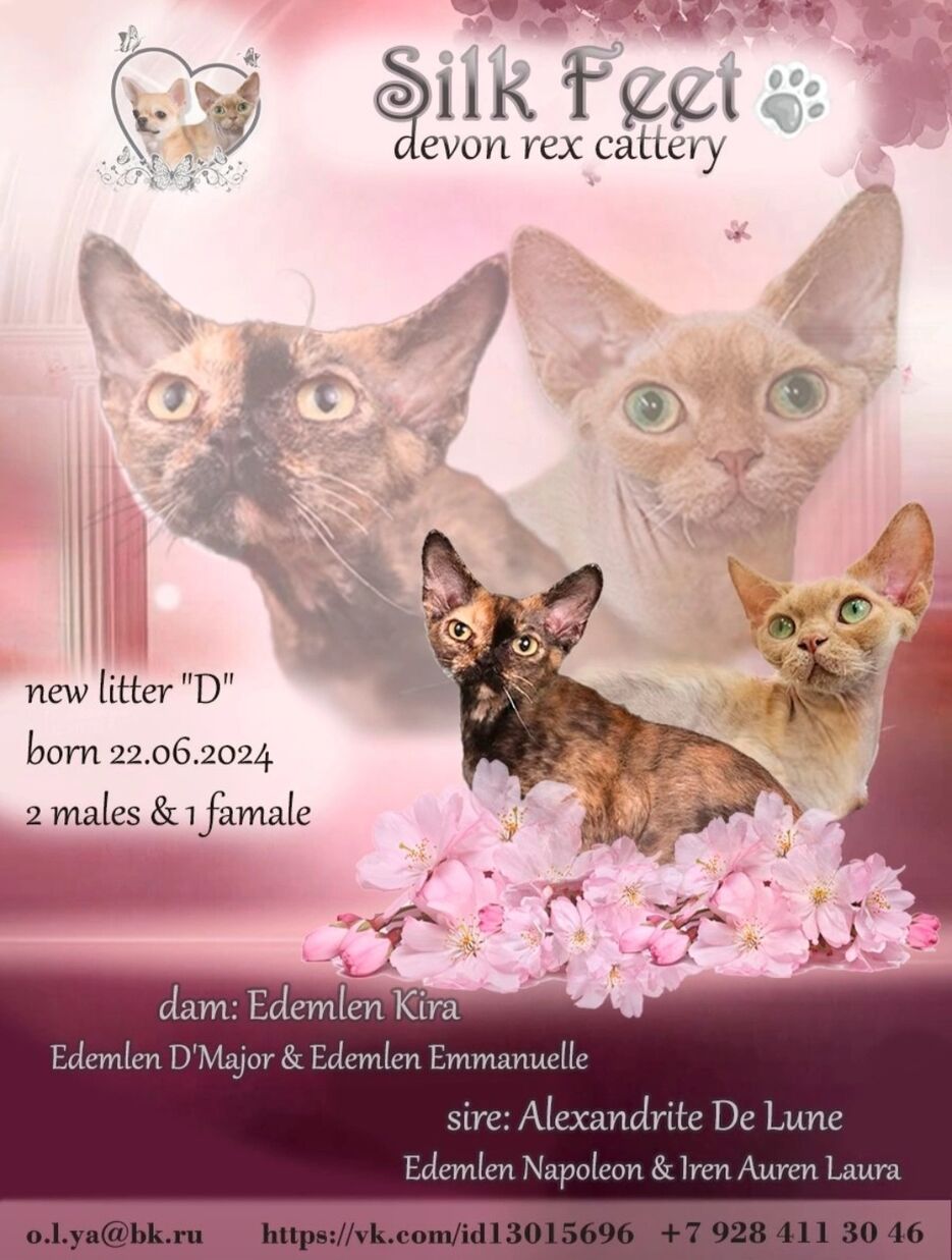 Screenshot_20240704_123333_VK.jpg