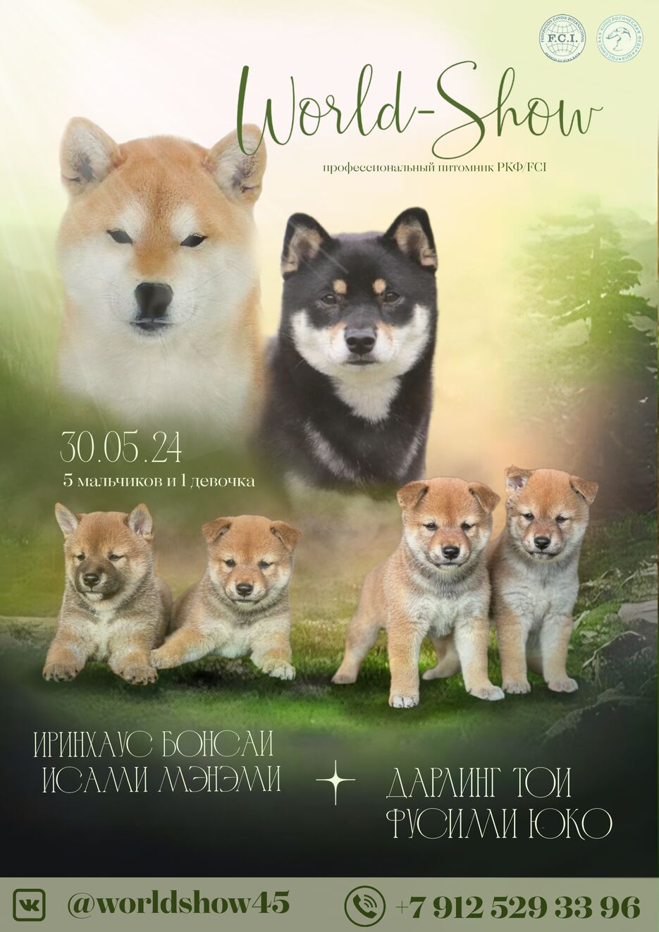 171d6b8a-3fa8-4805-b04e-01fb4ca2f7ba.png