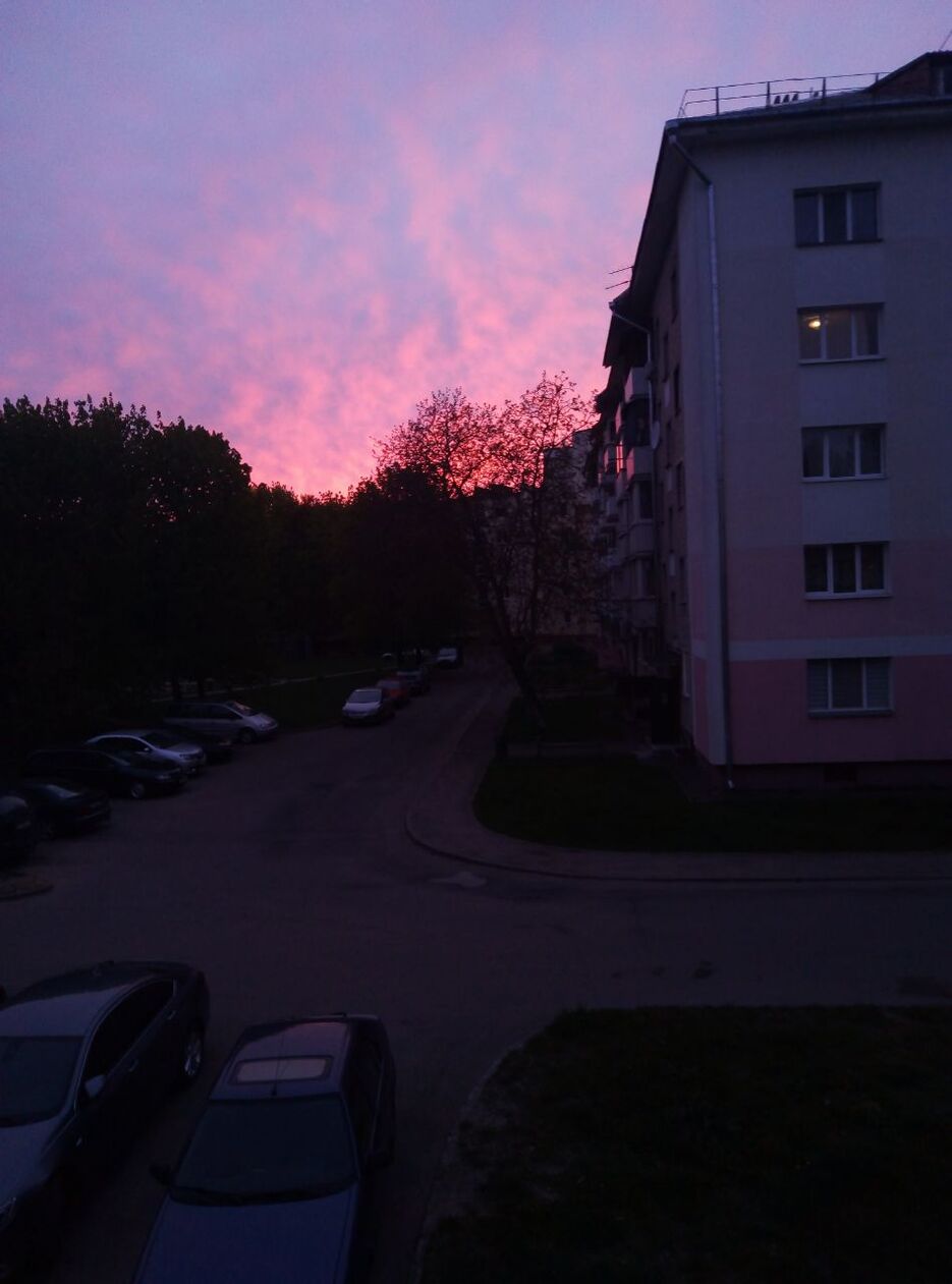 IMG_8955.jpeg