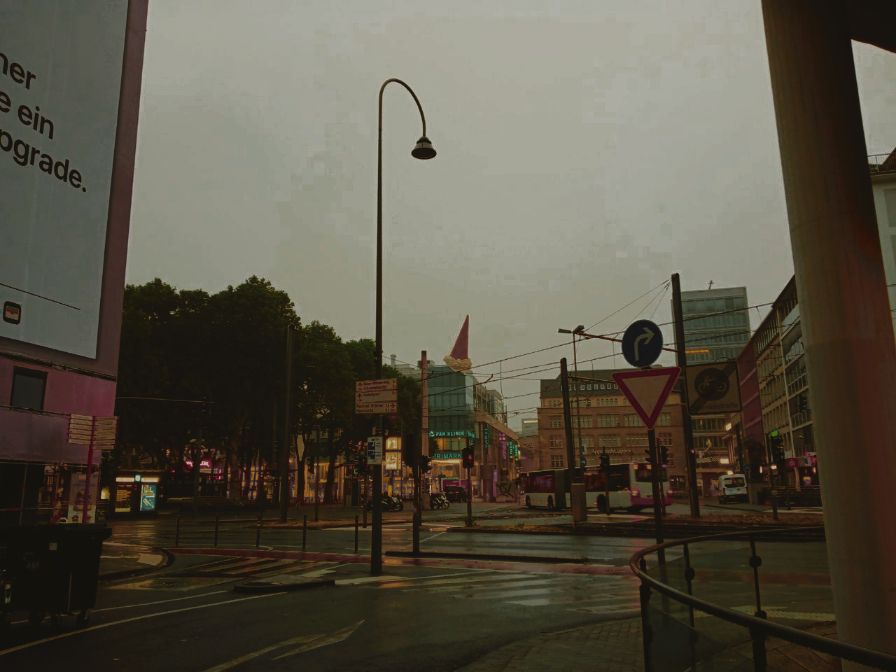 IMG_8941.jpeg