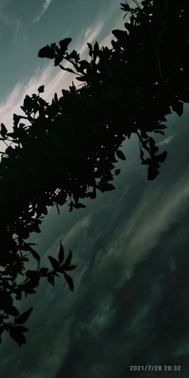 IMG_8937.jpeg