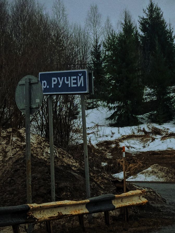 IMG_8931.jpeg