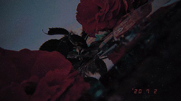 IMG_8917.jpeg
