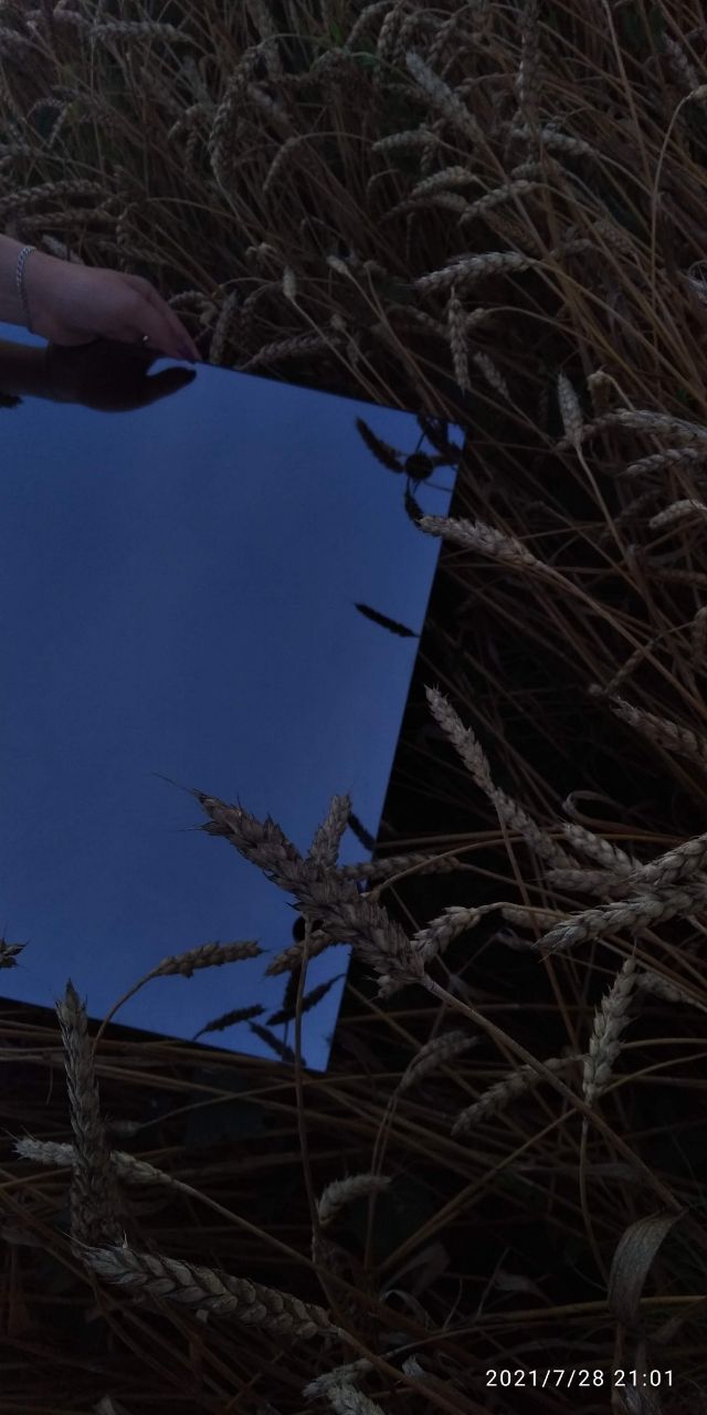 IMG_8923.jpeg