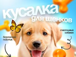 инфографика