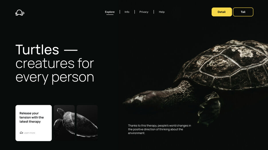 Turtles.jpg