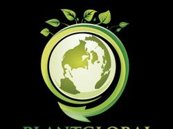 Портфолио Инстаграм dilogozain