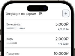 My finance
