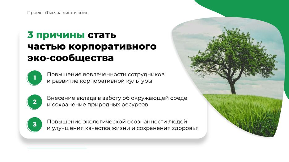 День 2 Орлов Артем.jpg