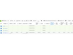 218 посещений сайта по 0.96$ для мобильного оператора США