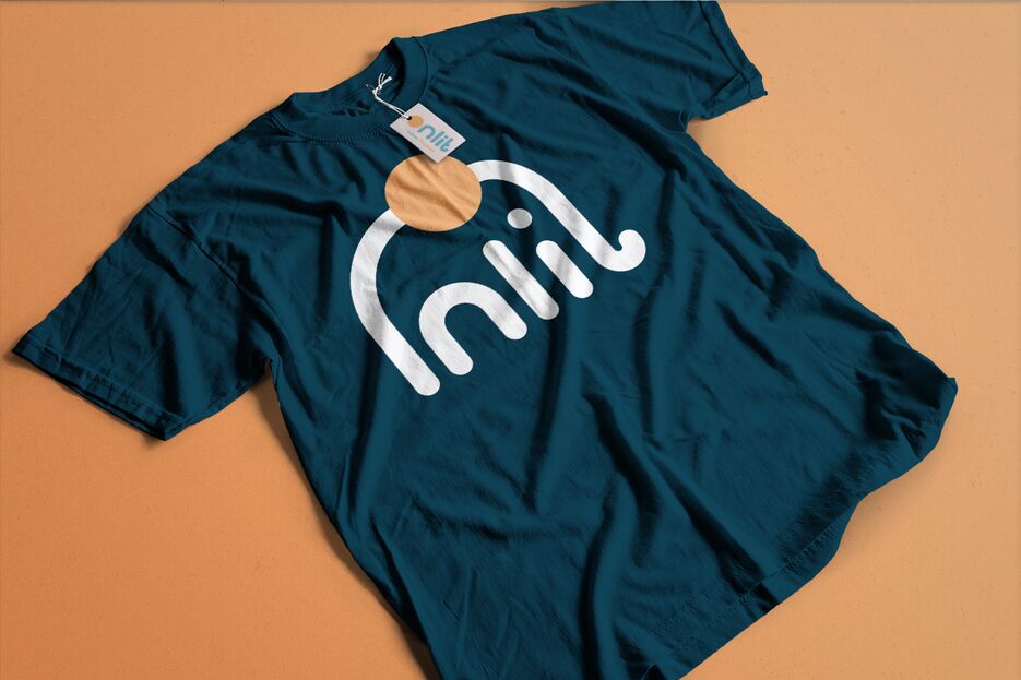 T-shirt onlit.png