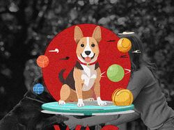 wag