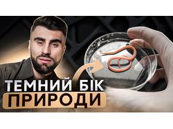 Превью для ютуб