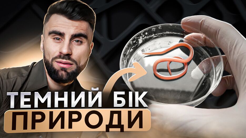 темний бік природи.png